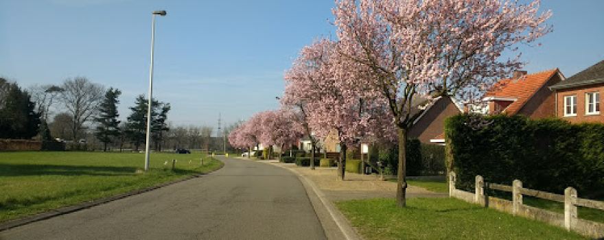 Het Veld
