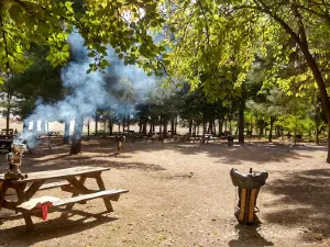 Picnic area
