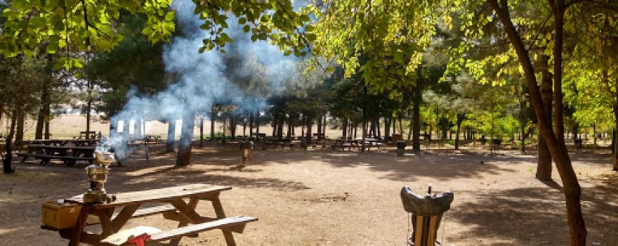 Picnic area