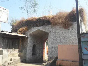 Ves karepur
