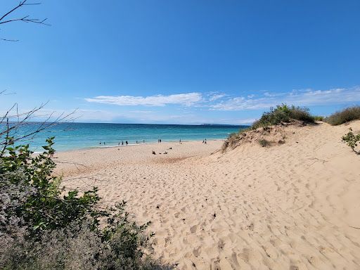 Dune Climb