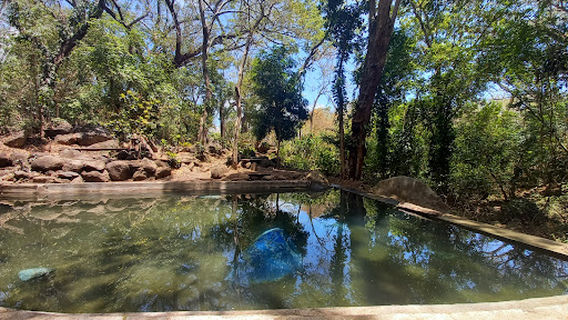 Piscina El Manantial(Camping area and typical food)