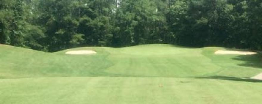 Turtle Cove Golf Course