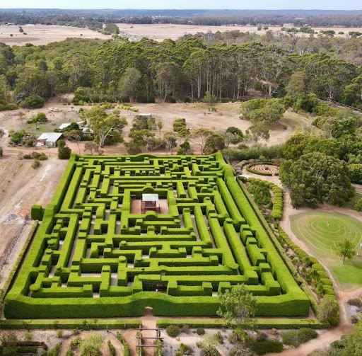 Giant Hedge Maze