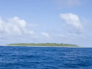 Tokū, Tonga