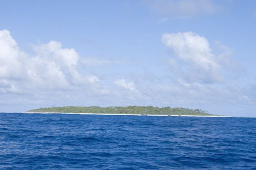 Tokū, Tonga