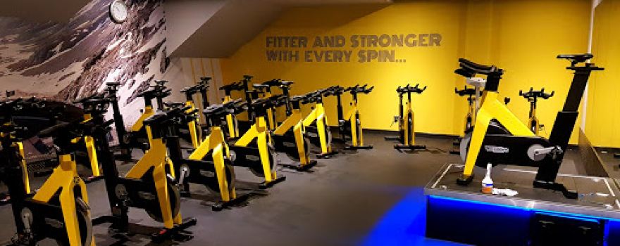 Everlast Gyms - Newport