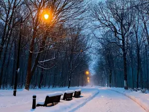 Shevchenko Park
