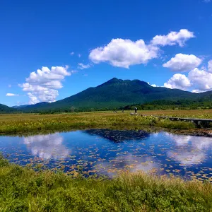 尾瀬ヶ原