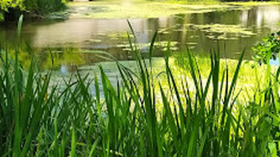 Camping de Cellettes