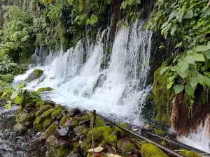Nace El Agua