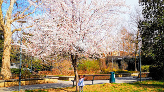 Parco di Piazzale Lubiana