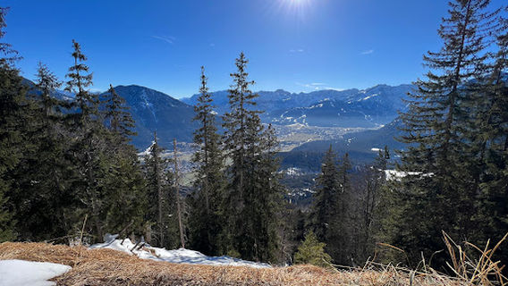 Schafkopf