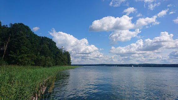 Bad Saarow