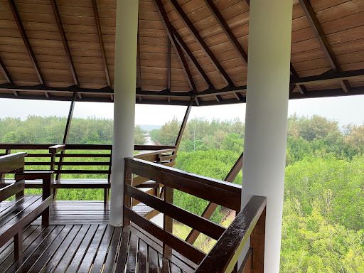 Mangrove Forest Park