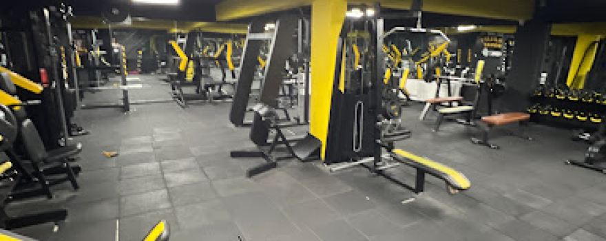 GORILLA FITNESS