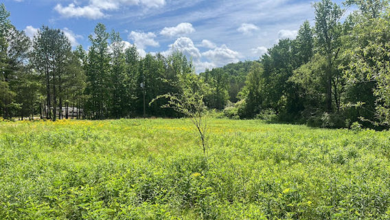 Berry Botanical & RV Campground