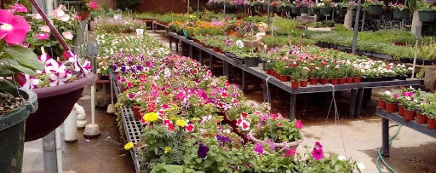 Agri-Flora Garden Centre