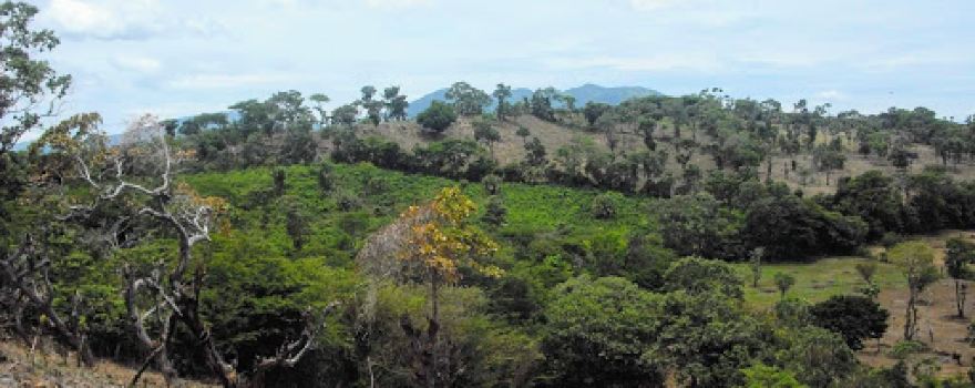 El Mirador Medrano
