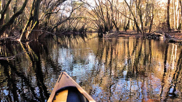 Satilla River Canoe & Kayak Ramp