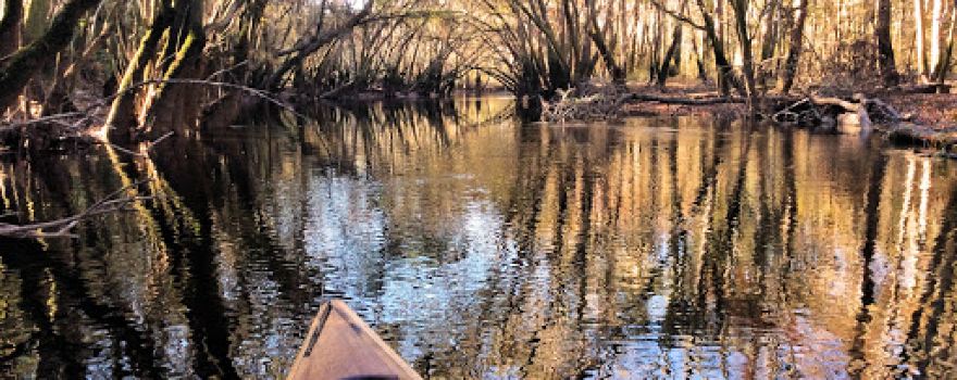 Satilla River Canoe & Kayak Ramp