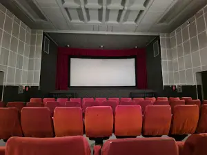 Dainava, kino teatras, Alytaus telekinas