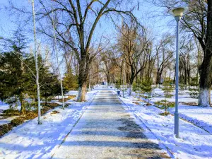 Karagach Park