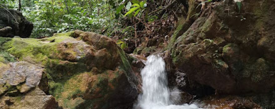 Trek Mendaki Gunung Lambak