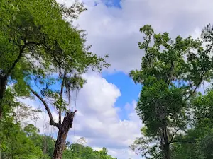 Suwannee River