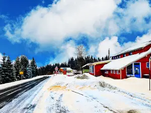 Sommerrodelbahn Mühlleithen