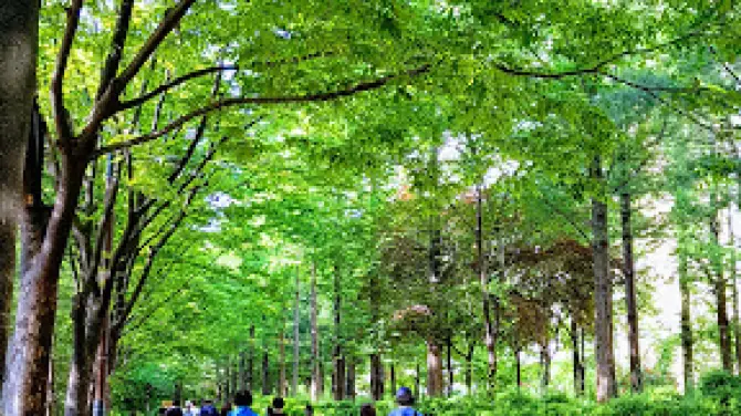 大峴山配水池公園