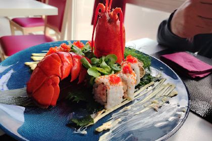 Koko The Sushi Revolution