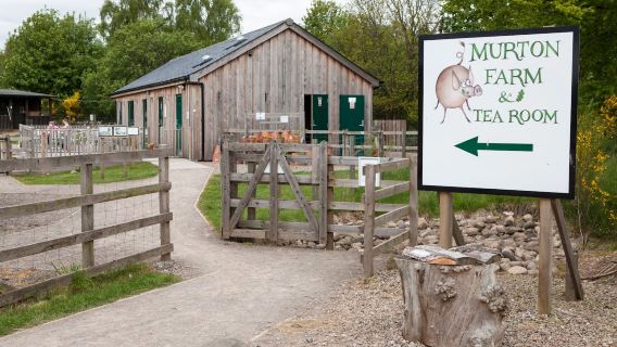 Murton Farm, Tearoom and Nature Reserve