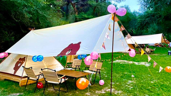 xing gu ye she lu ying ji di