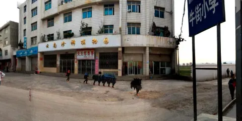 雲南珍稀植物園