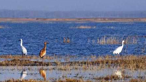 Ha'ernao AA Tourism Scenic Area