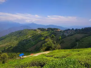 Darjeeling Mall