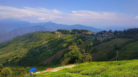 Darjeeling