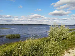 Zhigulovskiy Gosudarstvennyy Prirodnyy Zapovednik Im. I.i. Sprygina