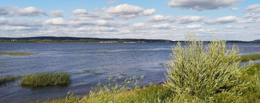 Zhigulovskiy Gosudarstvennyy Prirodnyy Zapovednik Im. I.i. Sprygina