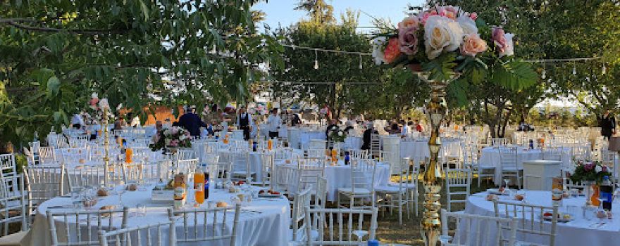 Güçlübey Binicilik Kulübü