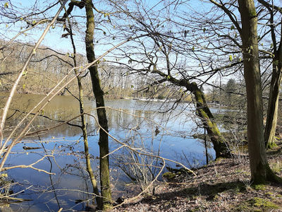Licher Waldschwimmbad