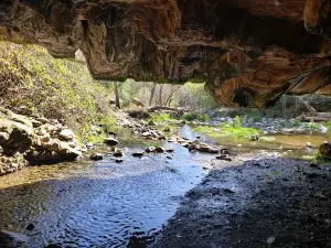 Natural Bridges Trailhead