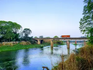 Indira Gandhi Memorial Botanical Park