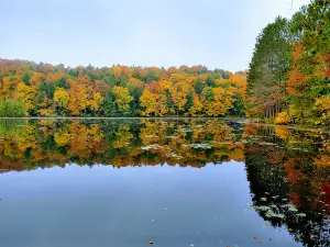 Spearhead Point Campground