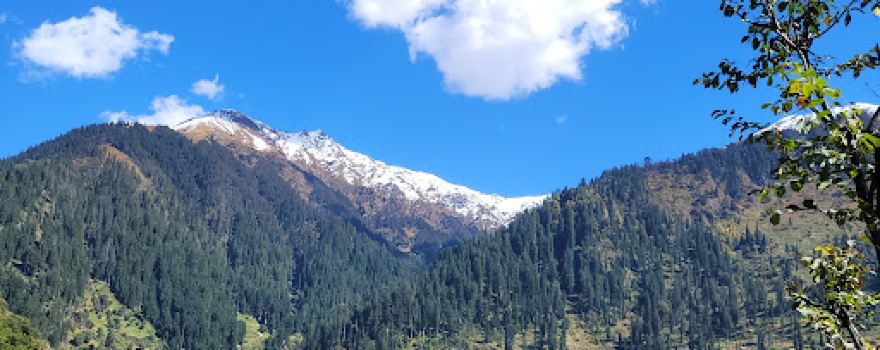Malana camps