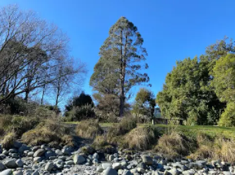 マタキ・ウィロー・グローブ・ウォーク