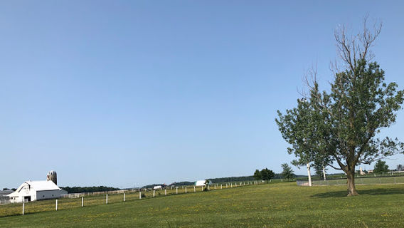 Krall Park, Enniskillen, Ont.