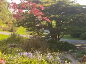 Popular Fall Viewing Attractions in Ireland