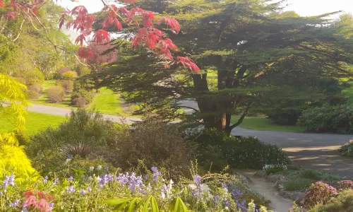 National Botanic Gardens